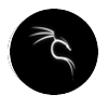 Kali Hacking Tools